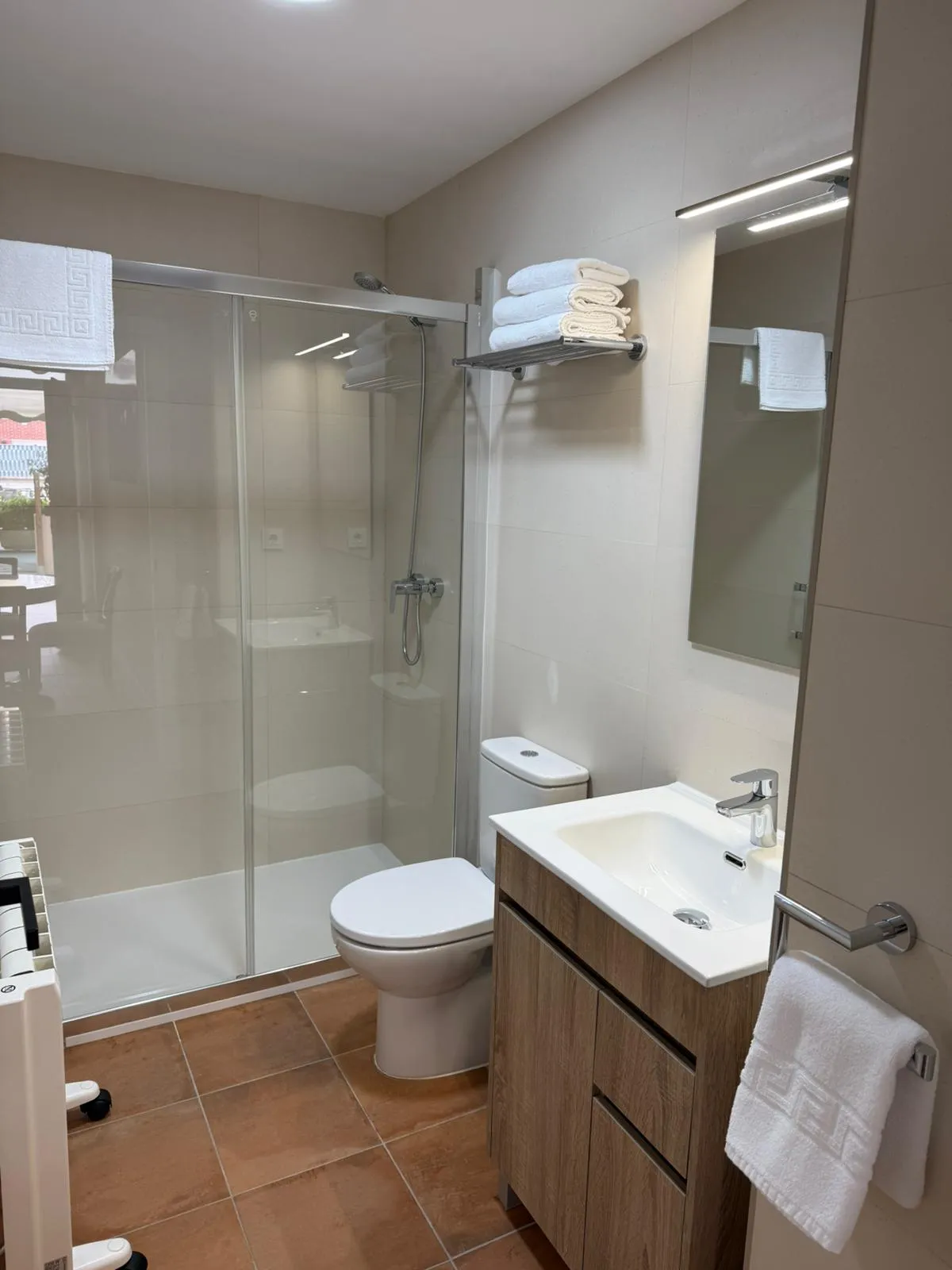 Modern bathroom with walk-in shower and screen